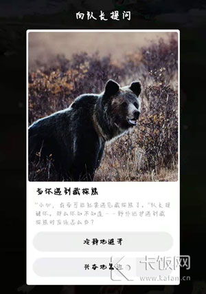 野外巡护遇到藏棕熊应该怎么办。