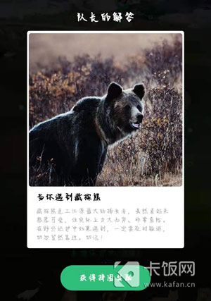 野外巡护遇到藏棕熊应该怎么办。