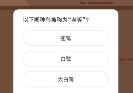 以下哪种鸟被称为老等。