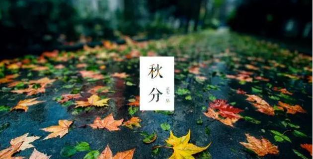 一些小细节就能提高PPT质量,不了解下