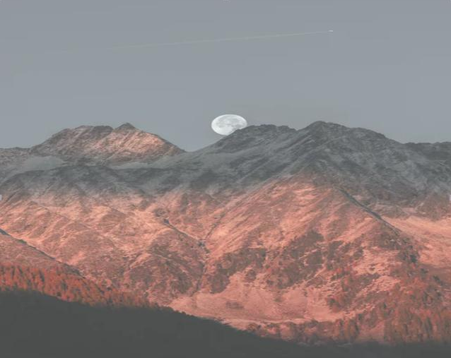 一些小细节就能提高PPT质量,不了解下