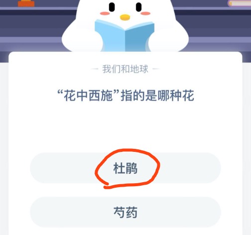 支付宝小鸡2020年12月26日今天答案是什么。