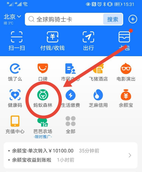 支付宝蚂蚁森林如何停用。