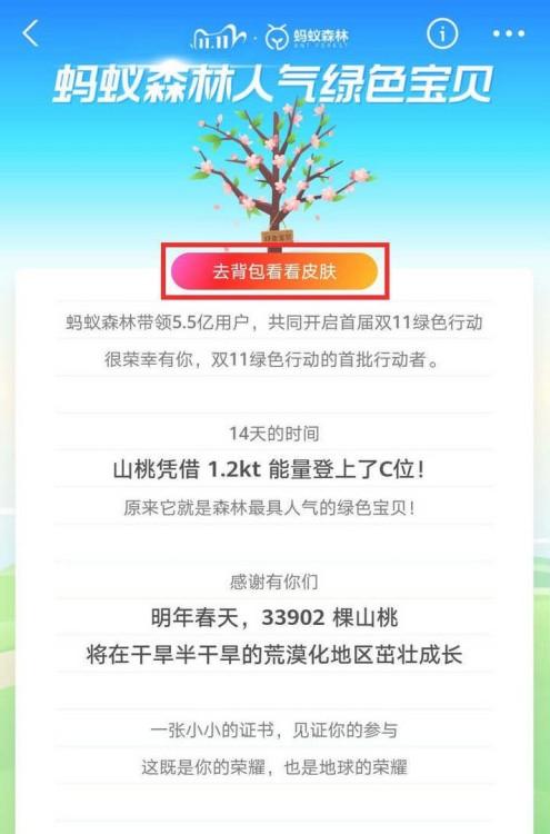 支付宝山桃皮肤怎么领取。