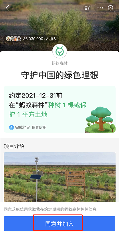 支付宝种树约定在什么地方参与。