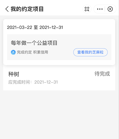支付宝种树约定在什么地方参与。