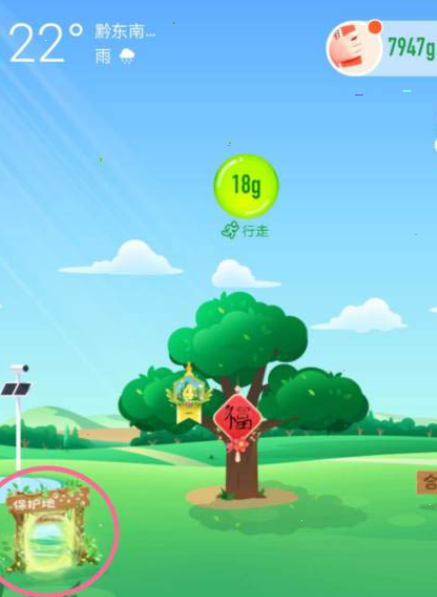 支付宝蚂蚁森林怎么开启巡护。