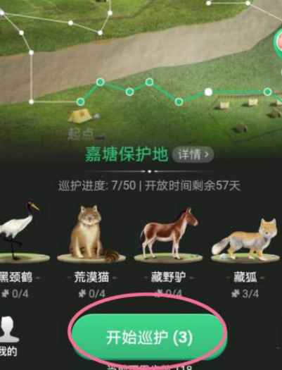 支付宝蚂蚁森林怎么开启巡护。