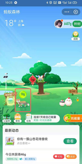1621238790329146.png 支付宝蚂蚁森林藏狐如何收取能量