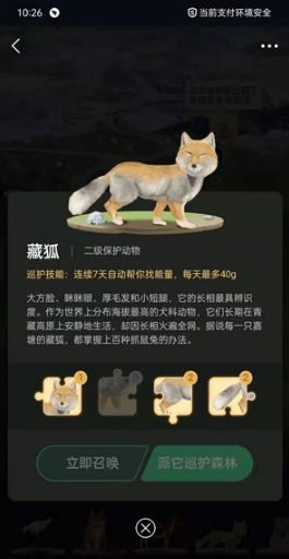 1621238784515900.png 支付宝蚂蚁森林藏狐如何收取能量
