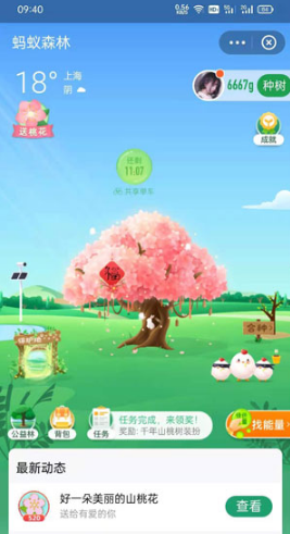 支付宝蚂蚁森林桃树装扮如何获得。