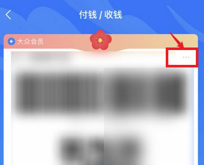支付宝付款码皮肤在什么地方设置。