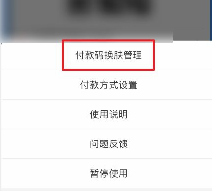 支付宝付款码皮肤在什么地方设置。