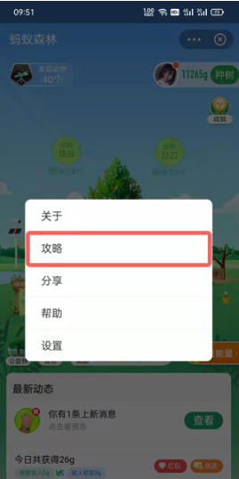 支付宝如何开通步数授权。