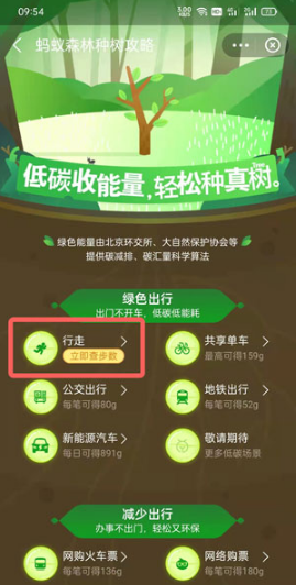 支付宝如何开通步数授权。