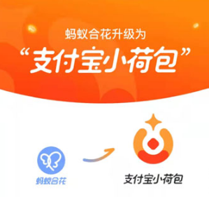 支付宝小荷包提现需要手续费吗。