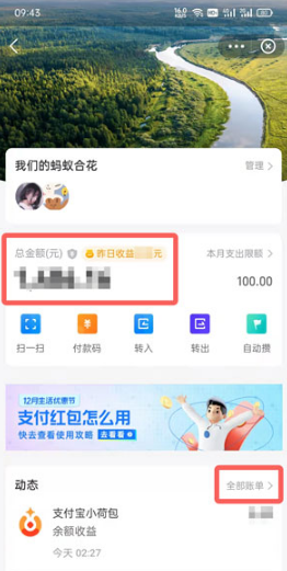 支付宝小荷包如何查看明细。