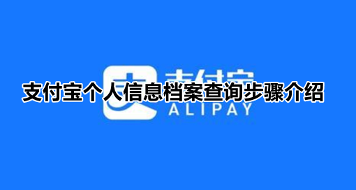 支付宝隐私保护如何查个人信息。
