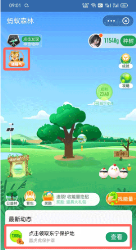 支付宝东宁保护地如何领。