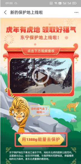 支付宝东宁保护地如何领。