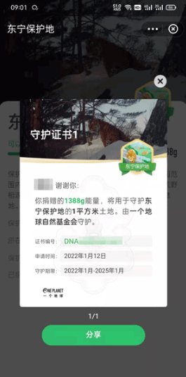 支付宝东宁保护地如何领。