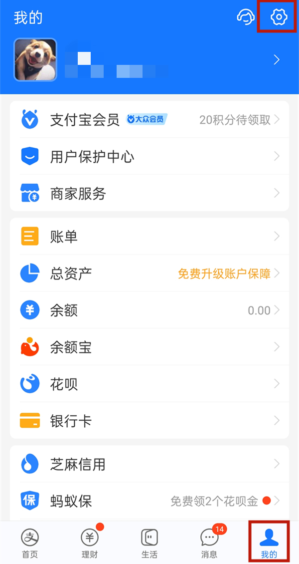 支付宝怎么自定义皮肤壁纸。