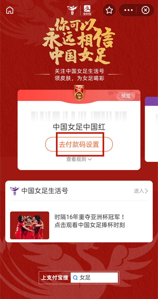 支付宝怎么自定义皮肤壁纸。