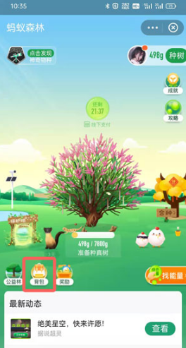 支付宝限时能量雨如何使用。