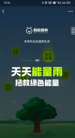 支付宝限时能量雨如何使用。