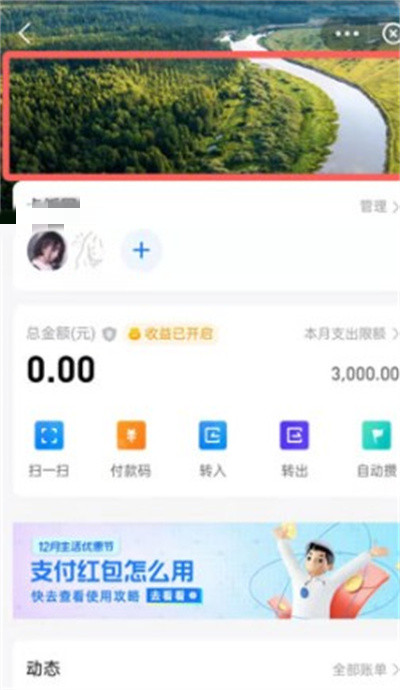 支付宝小荷包如何更换背景。