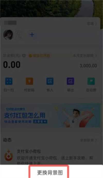 支付宝小荷包如何更换背景。