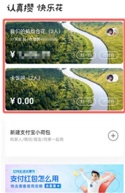 支付宝小荷包如何查看全部的收益。