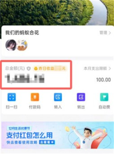 支付宝小荷包如何查看全部的收益。