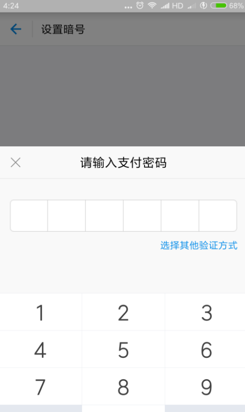 支付宝暗号是什么