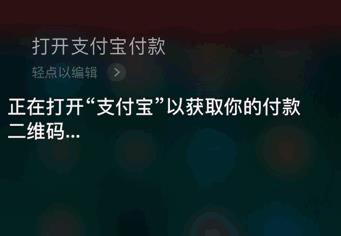 支付宝语音付款上线,只有iphone用户才能享受