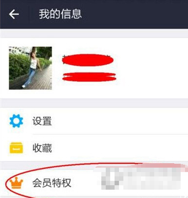 支付宝黄金会员有特权,享受你的权益去吧