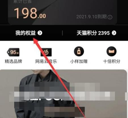 怎么解除淘宝88会员自动续费。