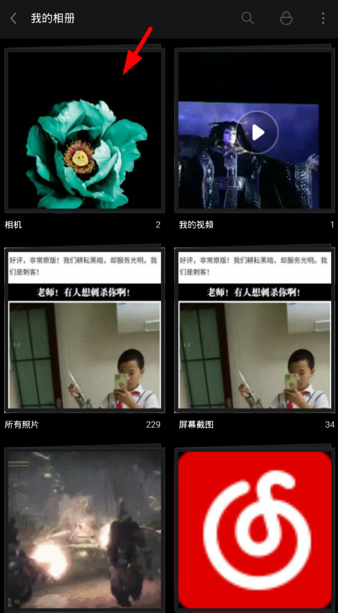 在理理相册app中编辑文字水印的简单教程。