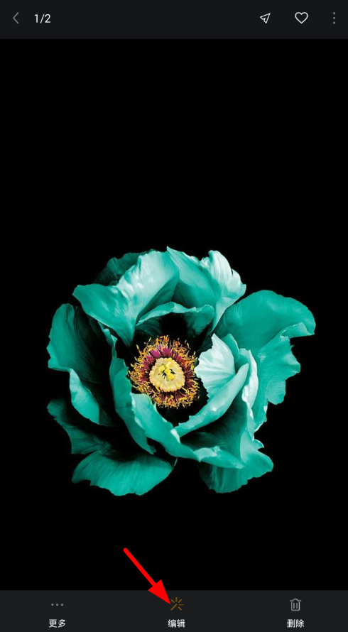 在理理相册app中编辑文字水印的简单教程。