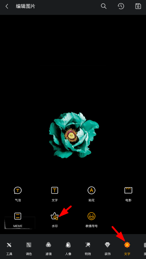 在理理相册app中编辑文字水印的简单教程。