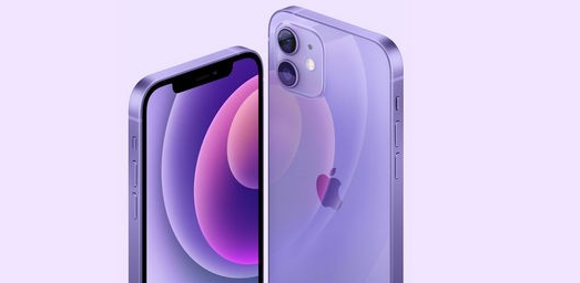 1618973175133188.png 紫色iPhone12多少钱