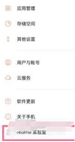真我GT2Pro在什么地方设置DC调光。
