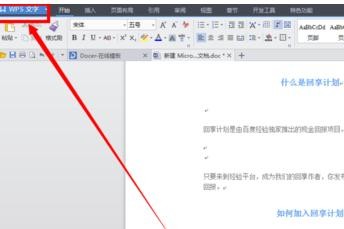在WPS文字里去掉小点的图文操作。