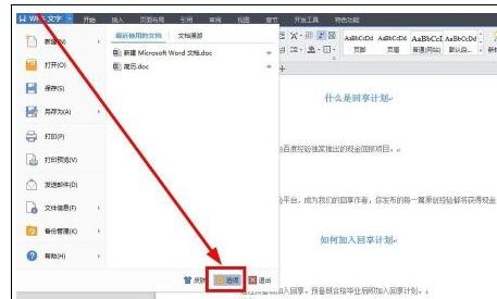 在WPS文字里去掉小点的图文操作。
