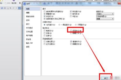 在WPS文字里去掉小点的图文操作。