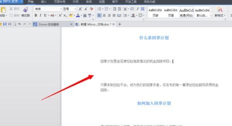 在WPS文字里去掉小点的图文操作。