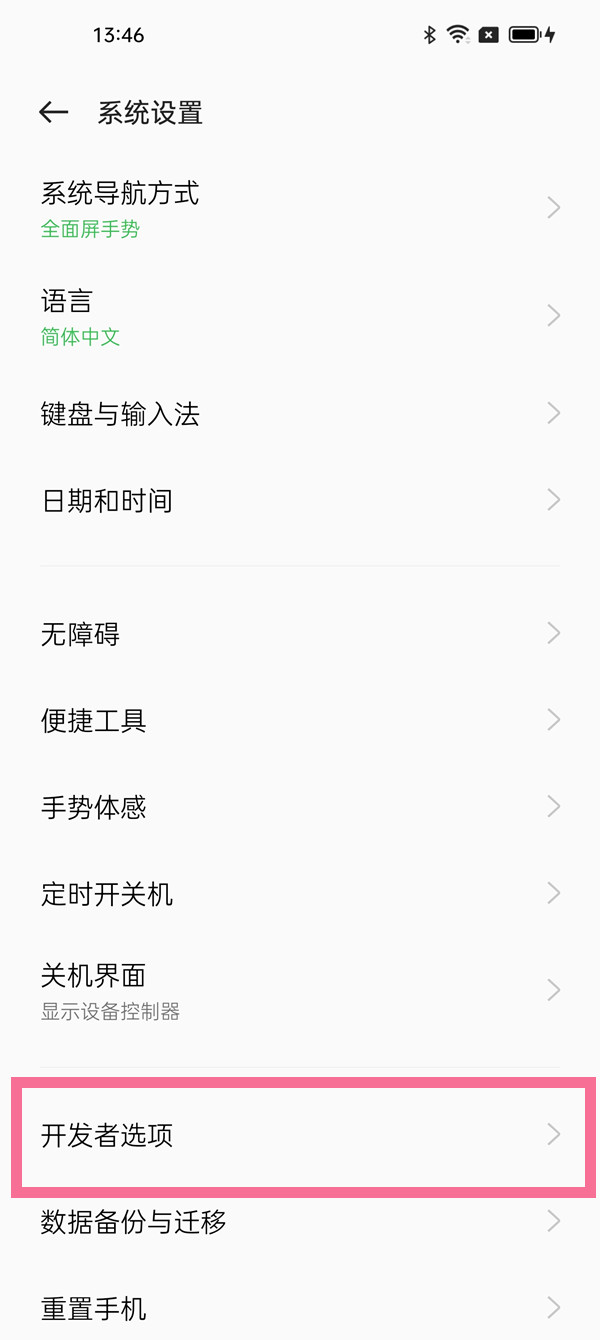 真我手机如何进入开发者模式。