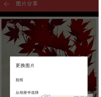 在网易云音乐中保存海报的具体步骤。
