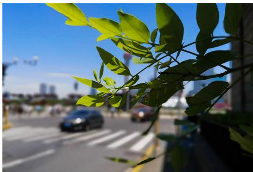 掌握这些拍照技巧，华为手机能当单反用！