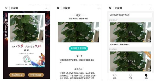 这些小程序可以替代APP使用，不了解下